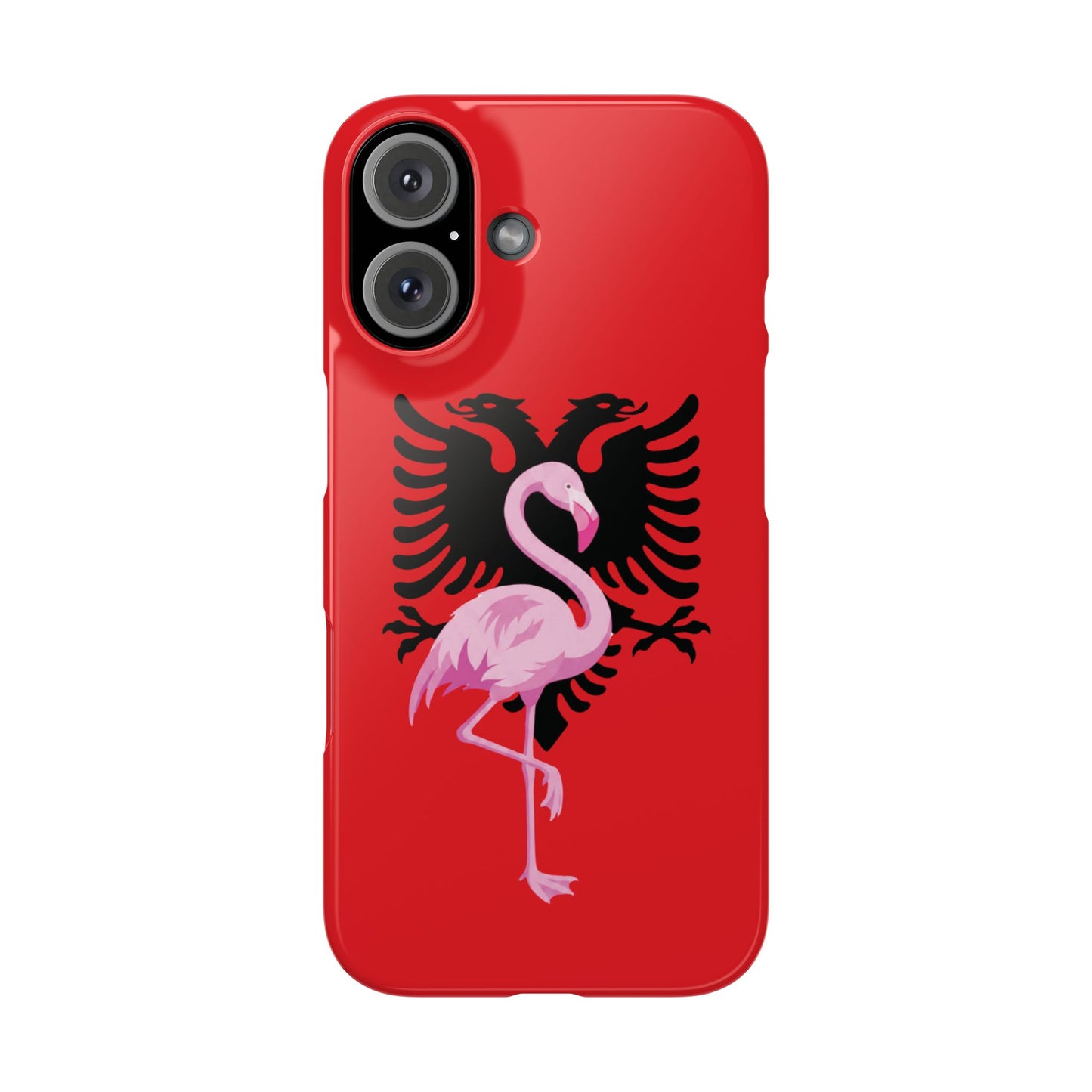 Snap Cases