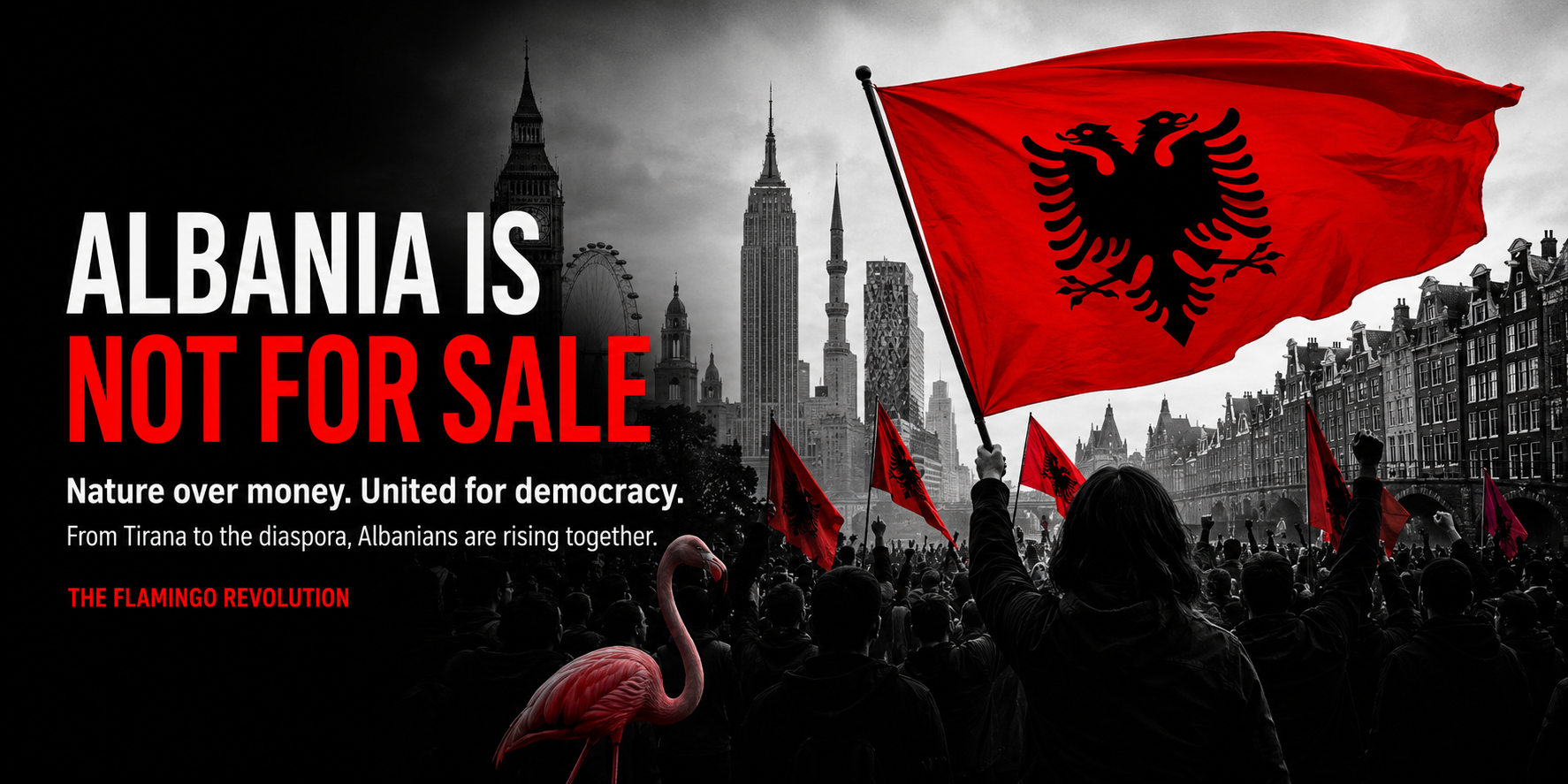 Albania Global Flamingo Revolution banner with Albanian movement imagery